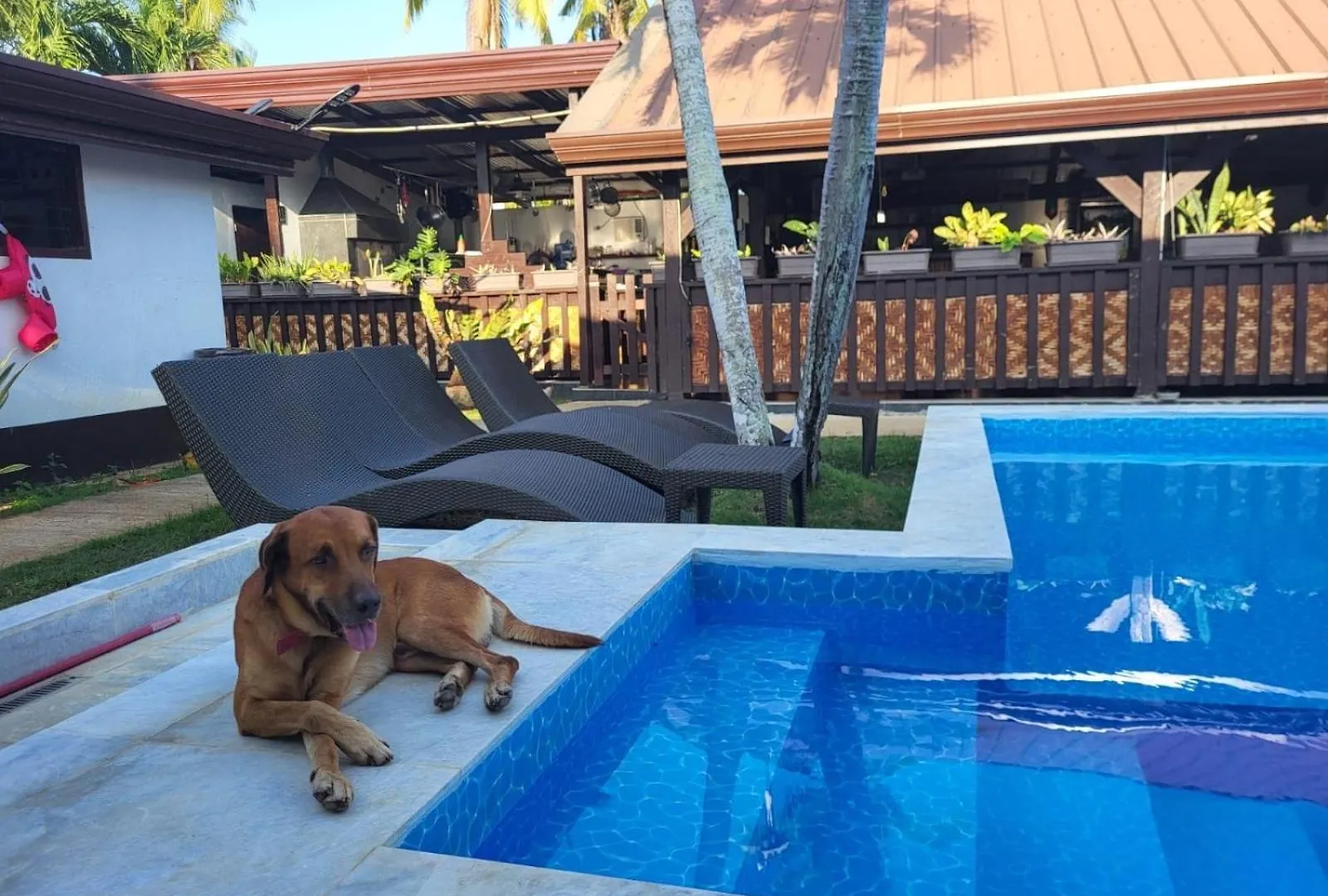 Jasmin Tourist Inn Dauis